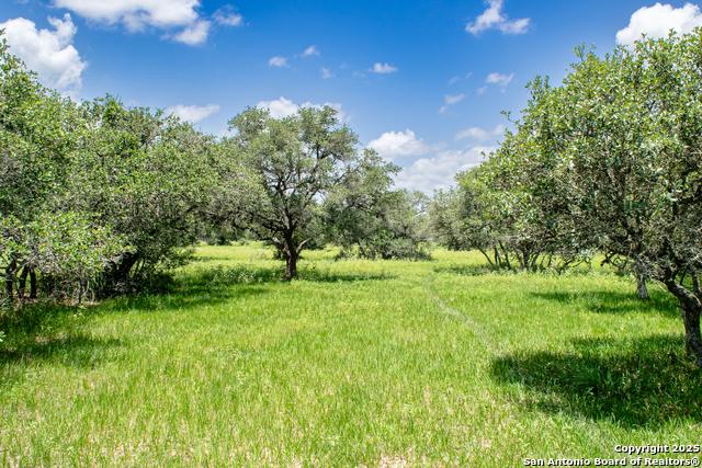 Listing photo id 13 for Tbd Fm 682  