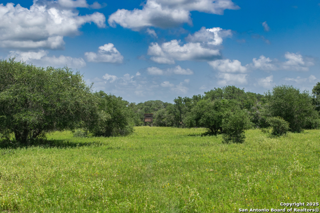 Listing photo id 16 for Tbd Fm 682  