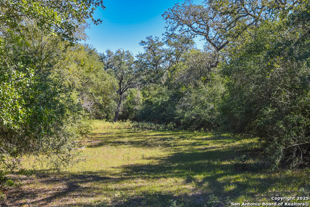 Listing photo id 21 for Tbd Fm 682  