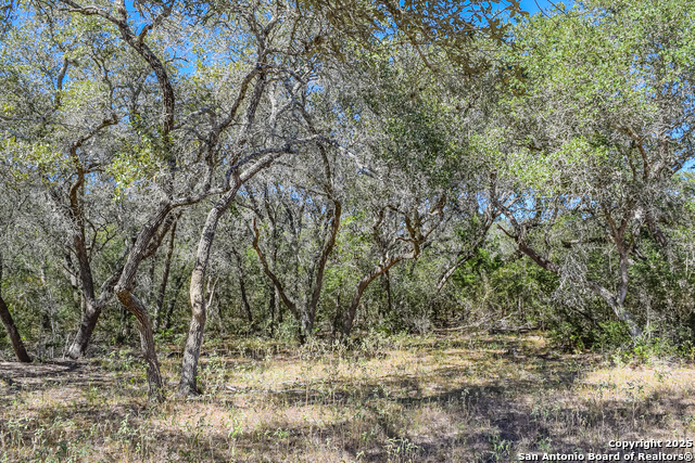 Listing photo id 22 for Tbd Fm 682  