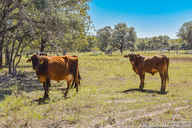 Listing photo id 24 for Tbd Fm 682  