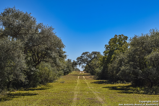 Listing photo id 27 for Tbd Fm 682  