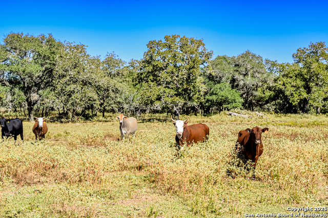 Listing photo id 1 for Tbd Fm 682  