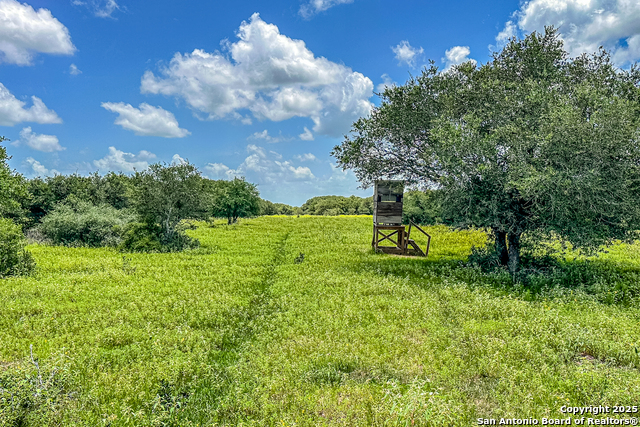 Listing photo id 39 for Tbd Fm 682  