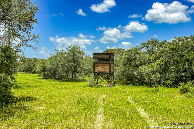 Listing photo id 40 for Tbd Fm 682  