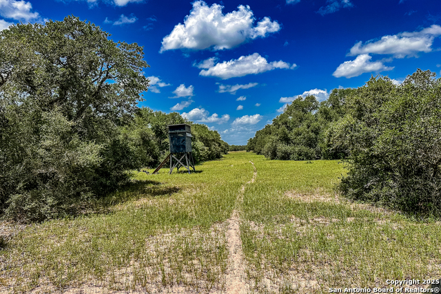 Listing photo id 44 for Tbd Fm 682  