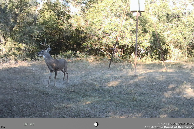 Listing photo id 46 for Tbd Fm 682  