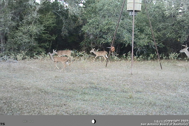 Listing photo id 47 for Tbd Fm 682  