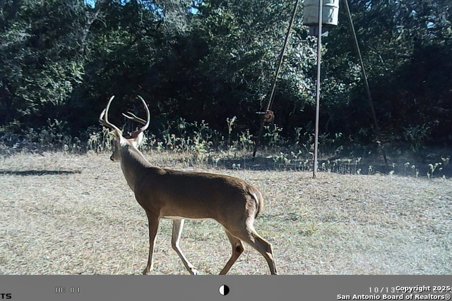 Listing photo id 48 for Tbd Fm 682  