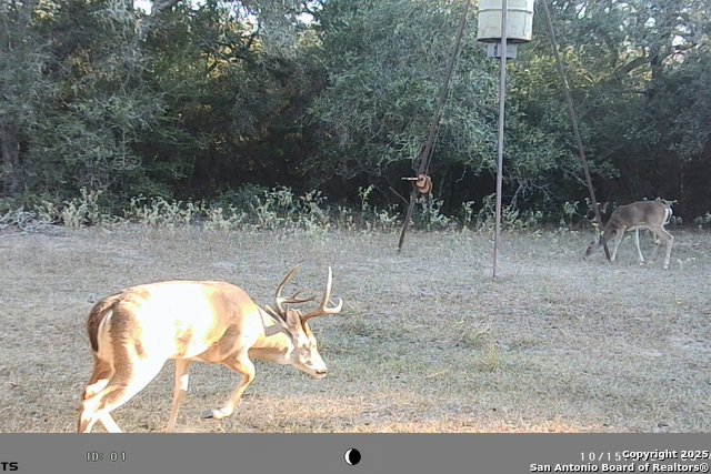 Listing photo id 49 for Tbd Fm 682  