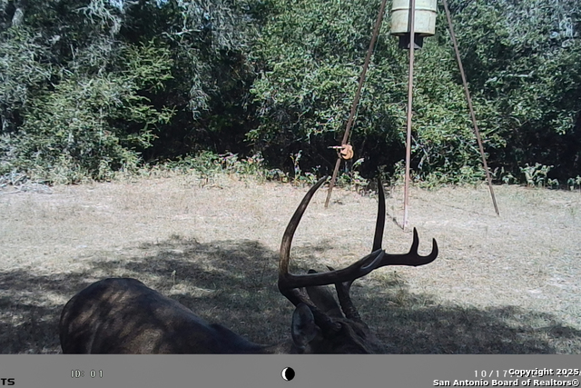 Listing photo id 50 for Tbd Fm 682  