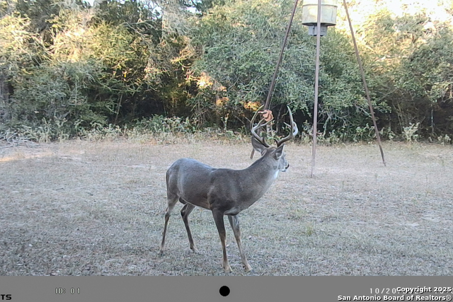 Listing photo id 51 for Tbd Fm 682  