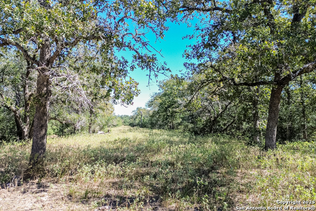 Listing photo id 53 for Tbd Fm 682  