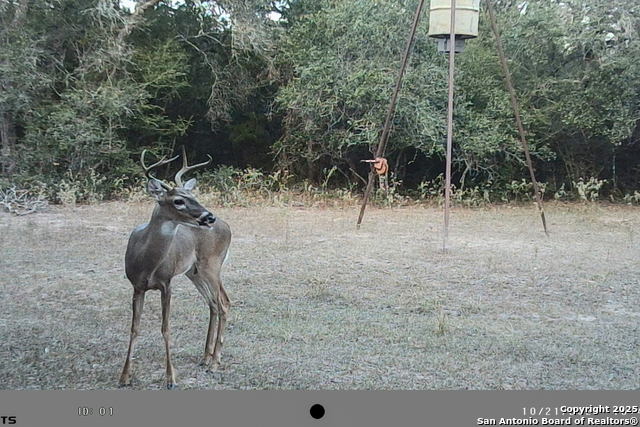 Listing photo id 60 for Tbd Fm 682  