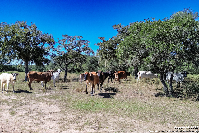 Listing photo id 61 for Tbd Fm 682  