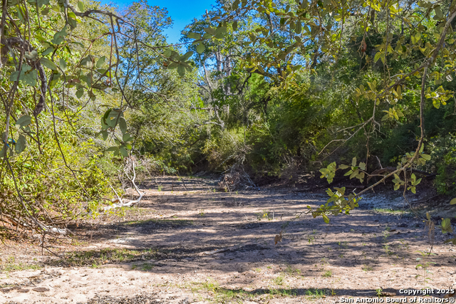 Listing photo id 65 for Tbd Fm 682  