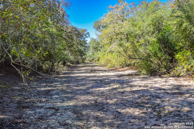 Listing photo id 66 for Tbd Fm 682  