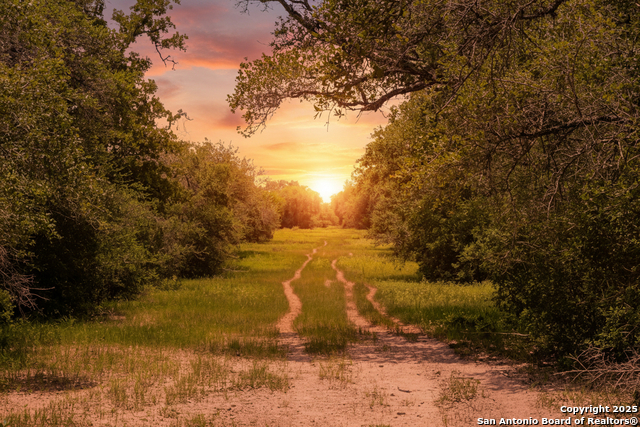 Listing photo id 5 for Tbd Fm 682  