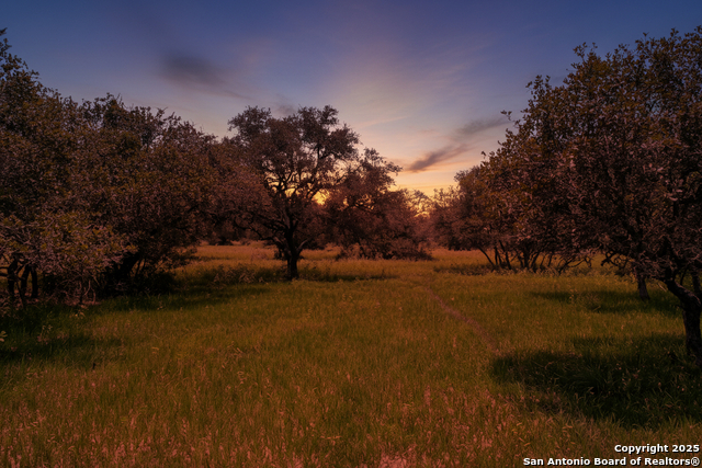 Listing photo id 7 for Tbd Fm 682  