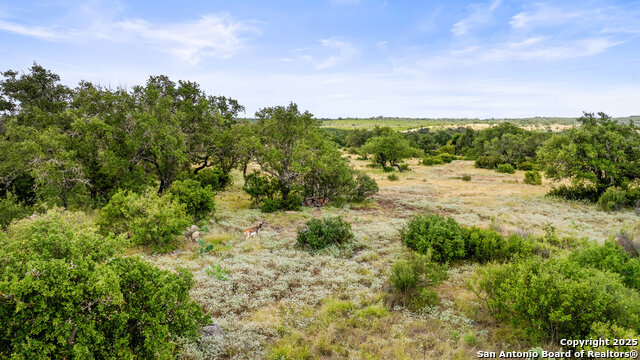 Image 10 of 30 For Lot 37 Vista Ridge