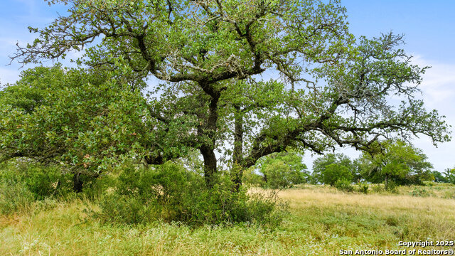 Image 16 of 30 For Lot 37 Vista Ridge