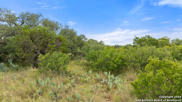 Image 24 of 30 For Lot 37 Vista Ridge