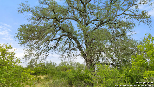 Image 27 of 30 For Lot 37 Vista Ridge