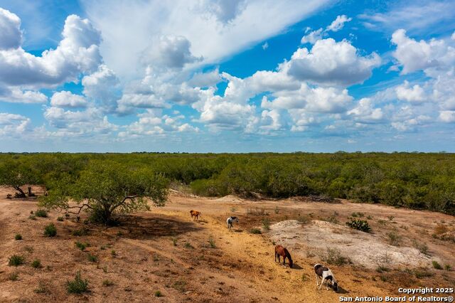 Image 29 of 39 For 947 County Road 302