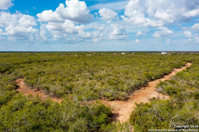 Image 31 of 39 For 947 County Road 302