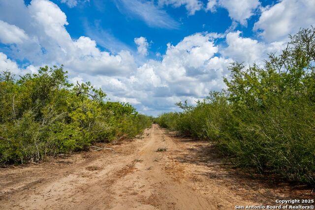 Image 34 of 39 For 947 County Road 302