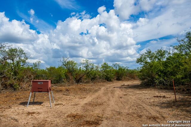 Image 36 of 39 For 947 County Road 302