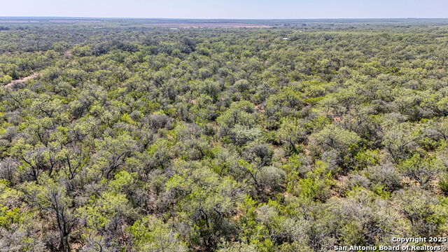 Listing photo id 44 for 3530 Cr 331 E