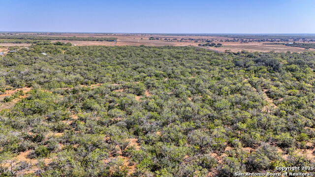 Listing photo id 47 for 3530 Cr 331 E