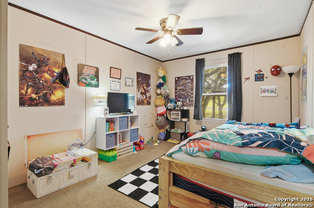 Image 21 of 35 For 102 County Road 479