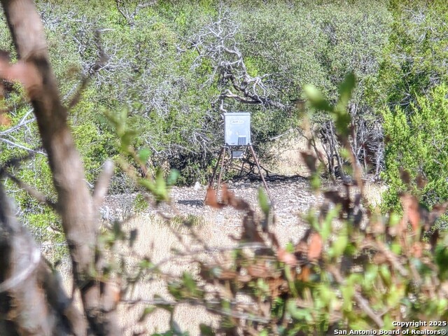 Listing photo id 0 for 72.5 Ac +-- Sd5570