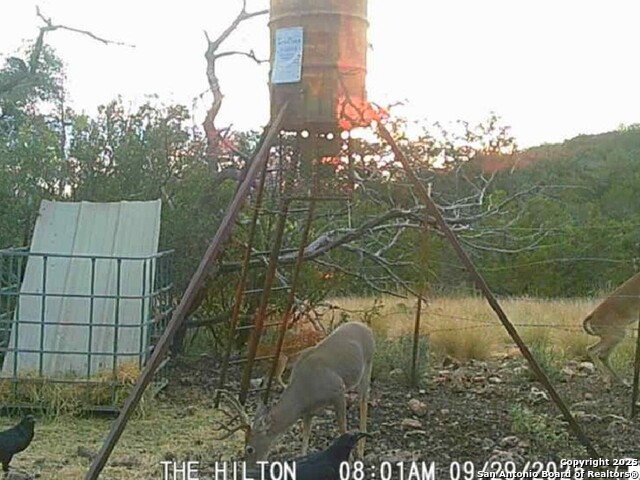 Listing photo id 18 for 72.5 Ac +-- Sd5570