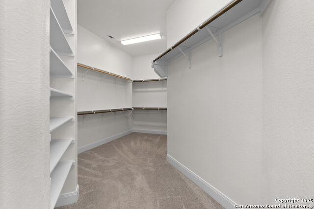 Image 19 of 40 For 8489 Ivy Curl