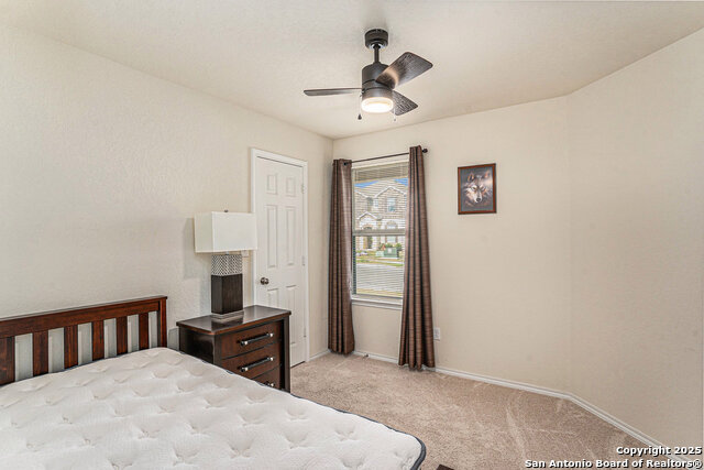 Image 20 of 27 For 403 Russian Sage