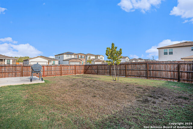 Image 25 of 27 For 403 Russian Sage