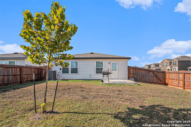 Image 26 of 27 For 403 Russian Sage