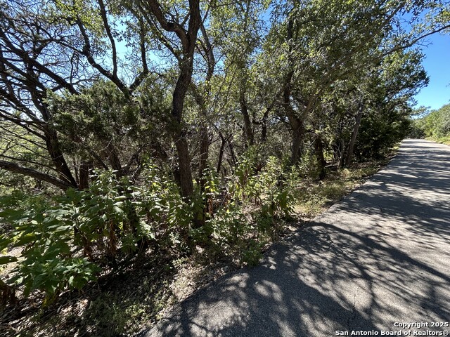Image 6 of 8 For 944 Olive Tree