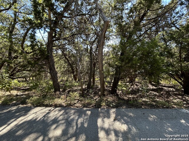 Image 7 of 8 For 944 Olive Tree