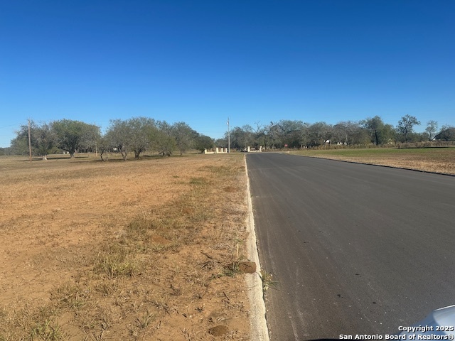 Image 7 of 7 For 000 Pulliam Dr