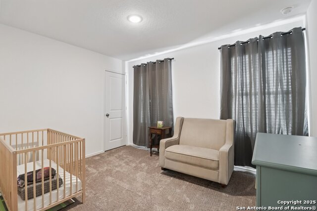 Image 12 of 17 For 14225 Jersey Cow