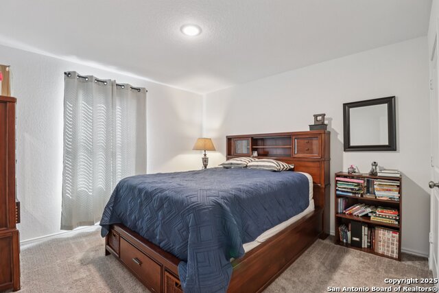 Image 14 of 17 For 14225 Jersey Cow