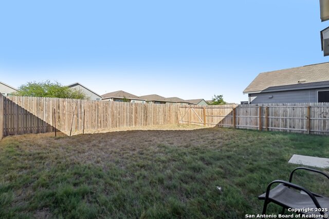 Image 16 of 17 For 14225 Jersey Cow