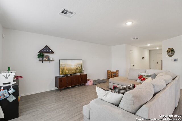 Image 5 of 17 For 14225 Jersey Cow