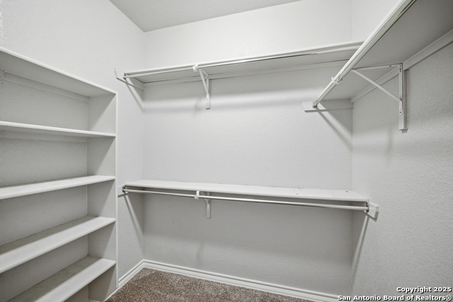 Listing photo id 23 for 9502 Bricewood Tree