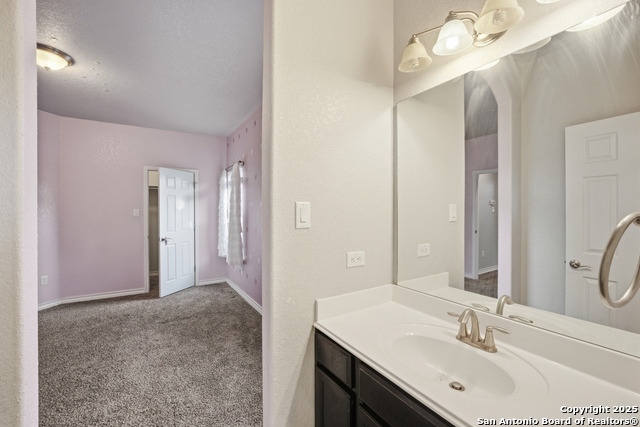 Listing photo id 28 for 9502 Bricewood Tree