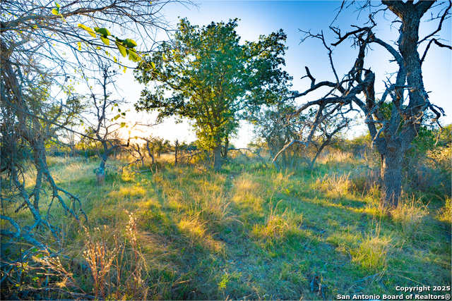 Image 13 of 18 For 00 Doss Spring Creek Rd.